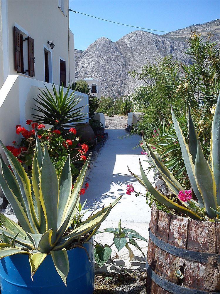 Tilos Marina Studios מראה חיצוני תמונה